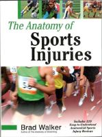 The Anatomy of Sports Injuries 