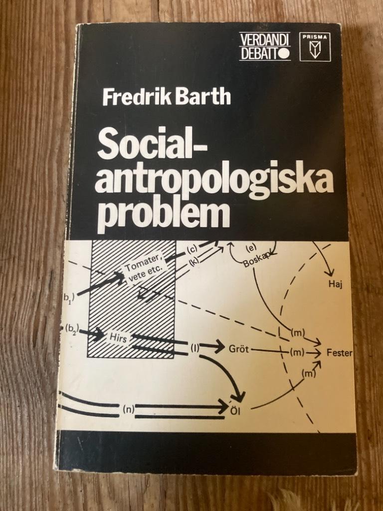 Socialantropologiska problem