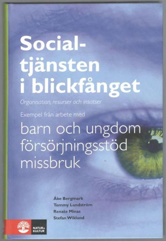 Socialtjänsten i blickfånget. Organisation, resurser och insatser