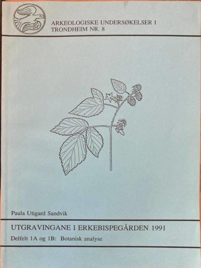 Utgravningane i Erkebispegården 1991. Delfelt 1A og 1B: Botanisk analyse