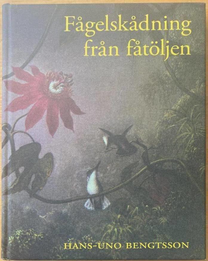 Fågelskådning från fåtöljen