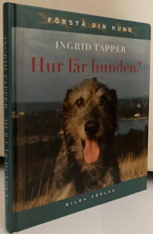 Hur lär hunden?