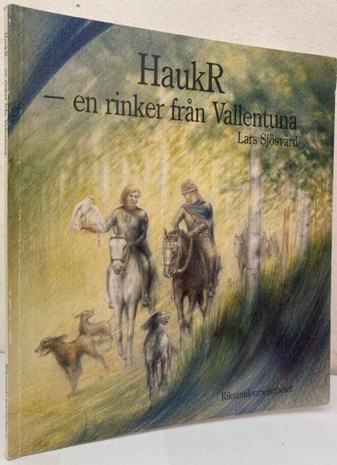 HaukR - en rinker från Vallentuna. Arkeologisk undersökning av fornlämning 27, Rickeby, Vallentuna sn, Uppland