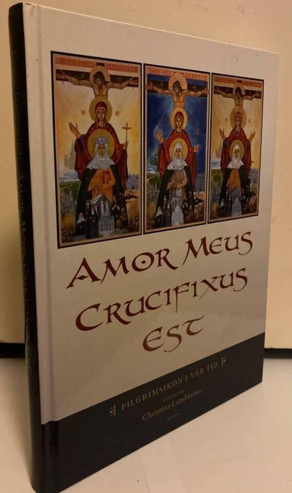 Amor meus crucifixus est. Pilgrimsikon i vår tid