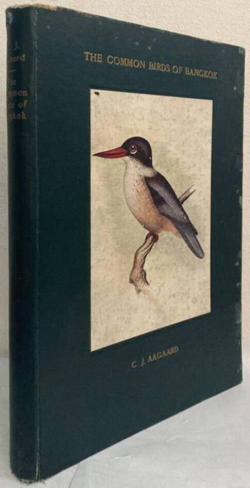 The Common Birds of Bangkok