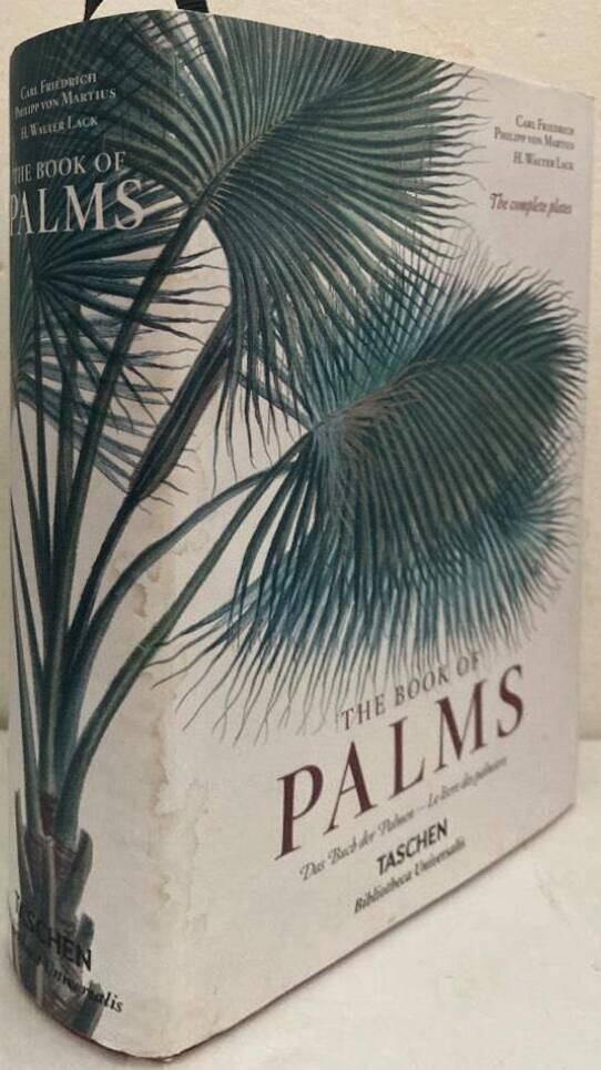 The Book of Palms