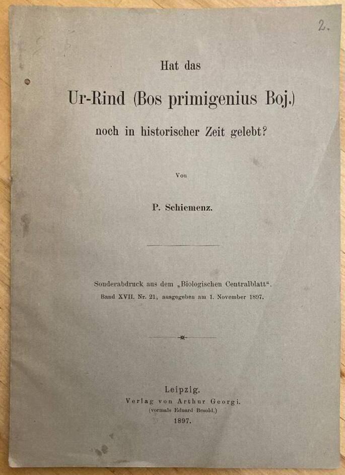 Hat das Ur-Rind (Bos primigenius Boj.) noch in historischer Zeit gelebt?