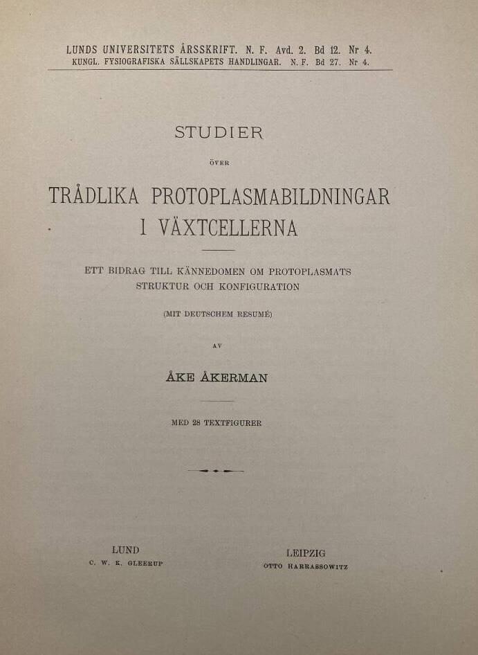 Studier över trådlika protoplasmabildningar i växtcellerna. Ett bidrag till kännedomen om protoplasmats struktur och konfiguration