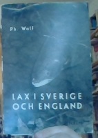 Lax i Sverige och England 