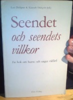 Seendet och seendets villkor 
