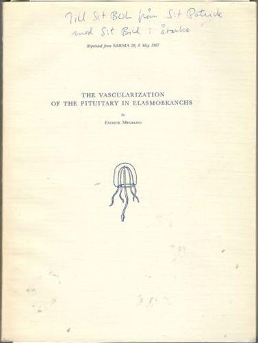The vascularization of the pituitary in elasmobranchs 