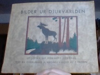 Bilder ur djurvärlden 