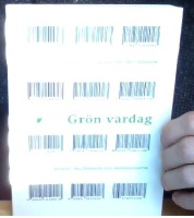 Grön vardag - Hushåll, miljöhänsyn och vardagspraktik 