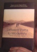 Different paths to modernity : a nordic and spanish perspective 