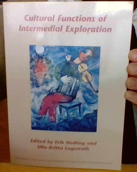 Cultural Functions of Intermedial Exploration 