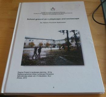 School ground as a playscape and socioscape 